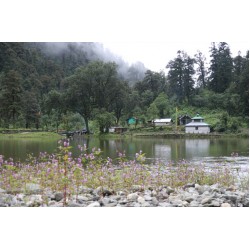 Dayara Bugyal Dodital Lake Trek 8N/9D